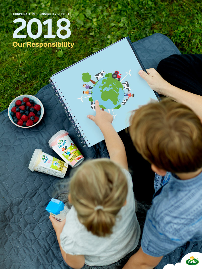 Our Responsibility - Report 2018