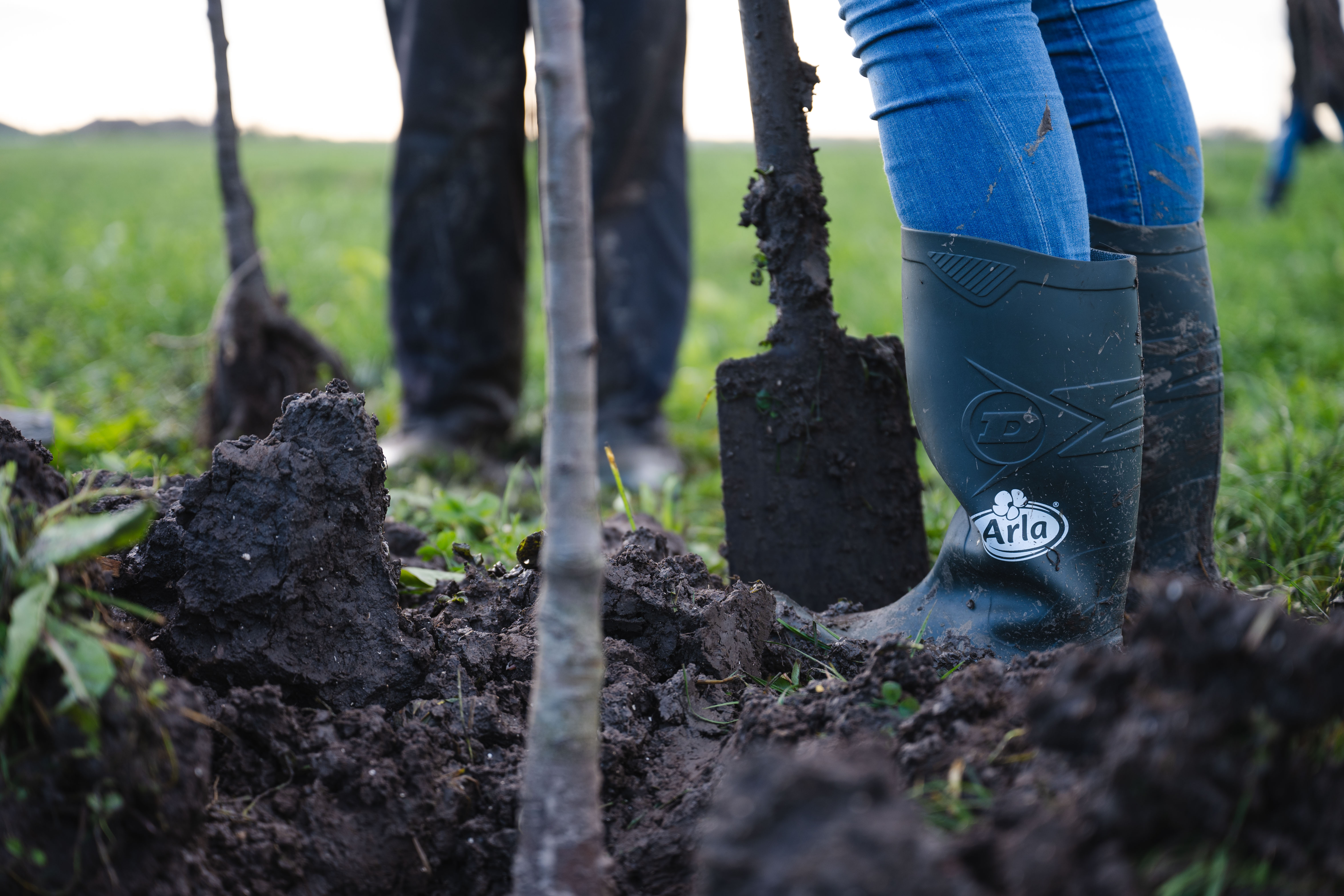 Samen sterk voor biodiversiteit 