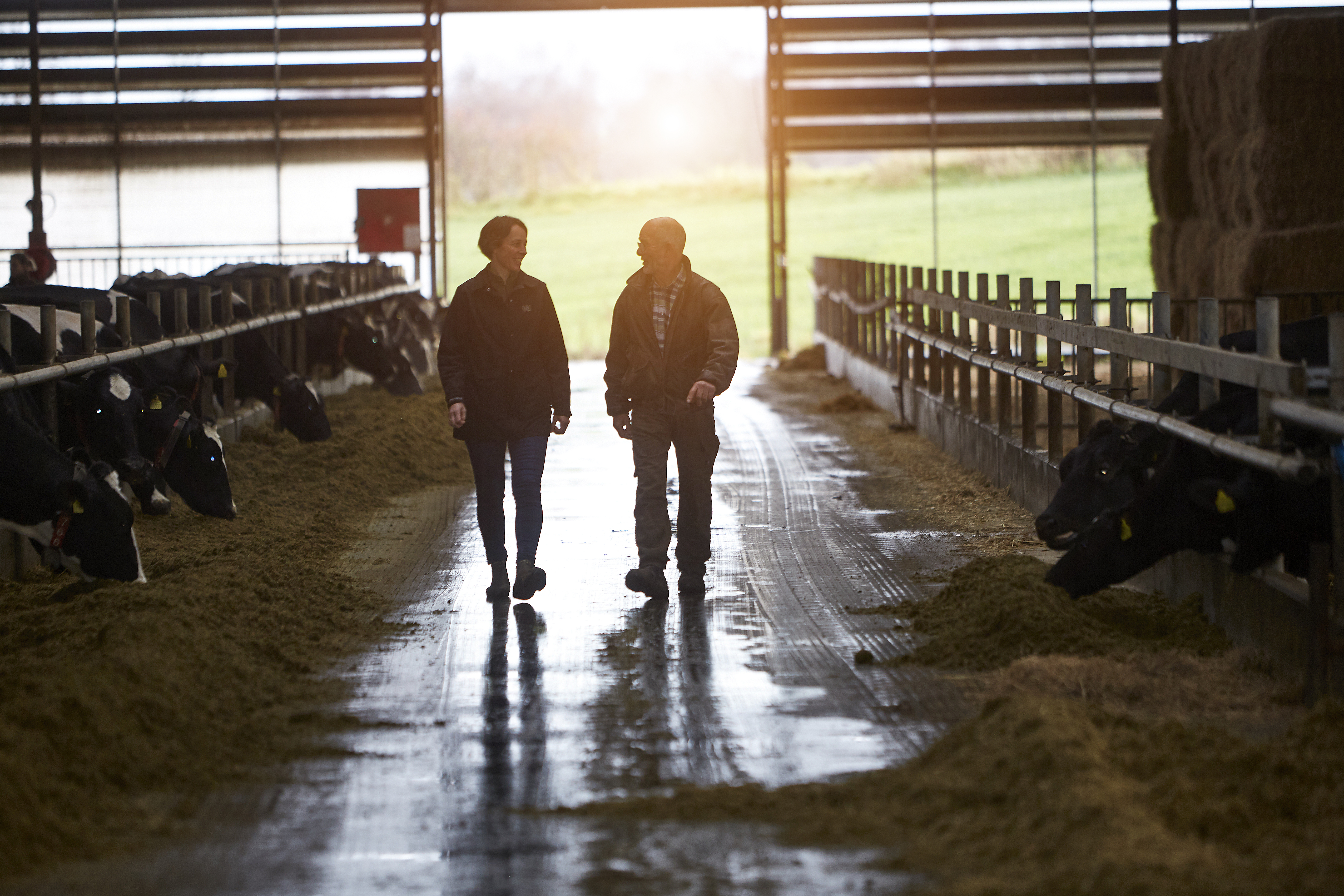 Respectvolle relaties