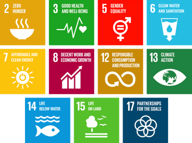 Onze duurzame initiatieven dragen bij aan de duurzame ontwikkelingsdoelen (SDG’s) van de Verenigde Naties 