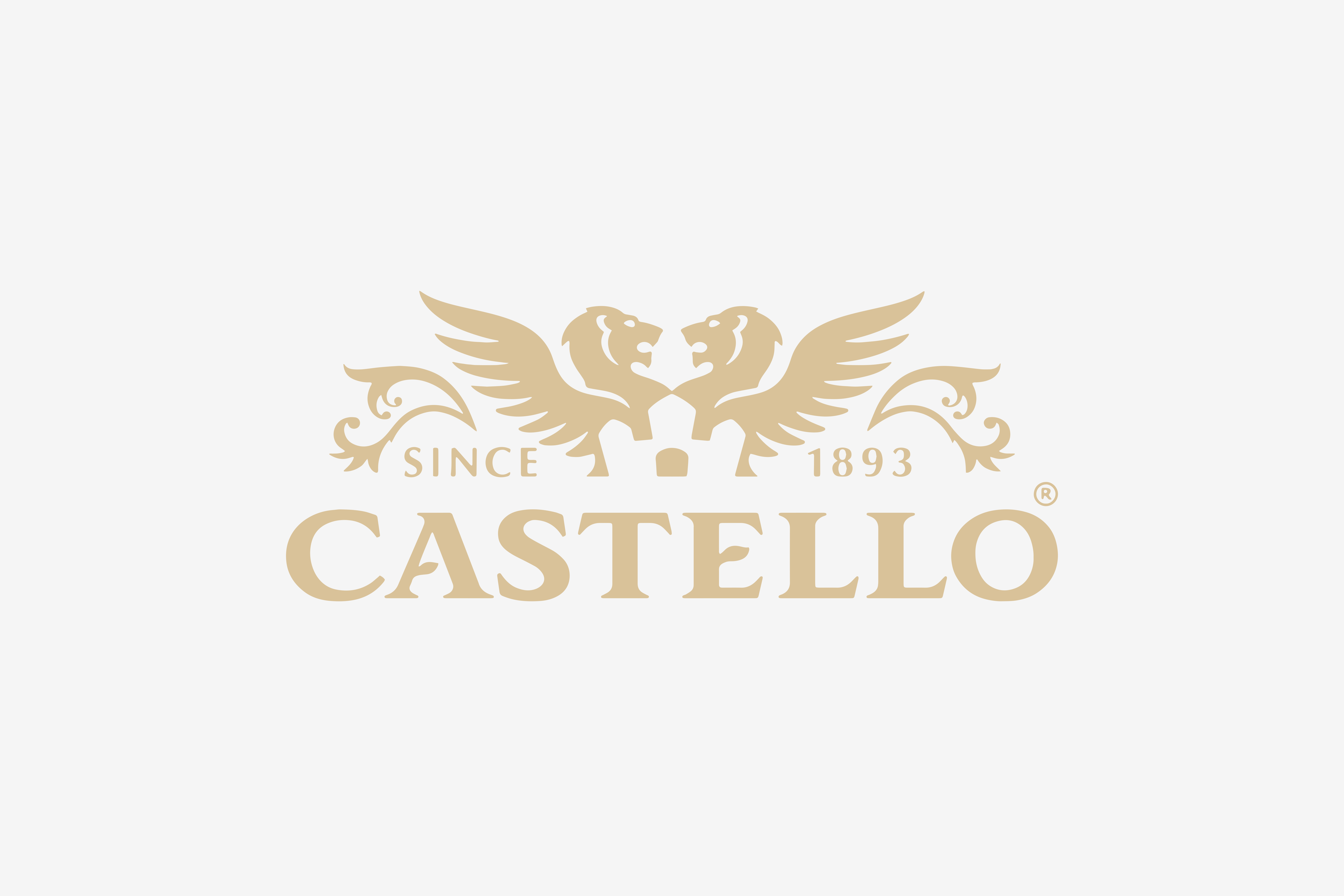 Logo Castello
