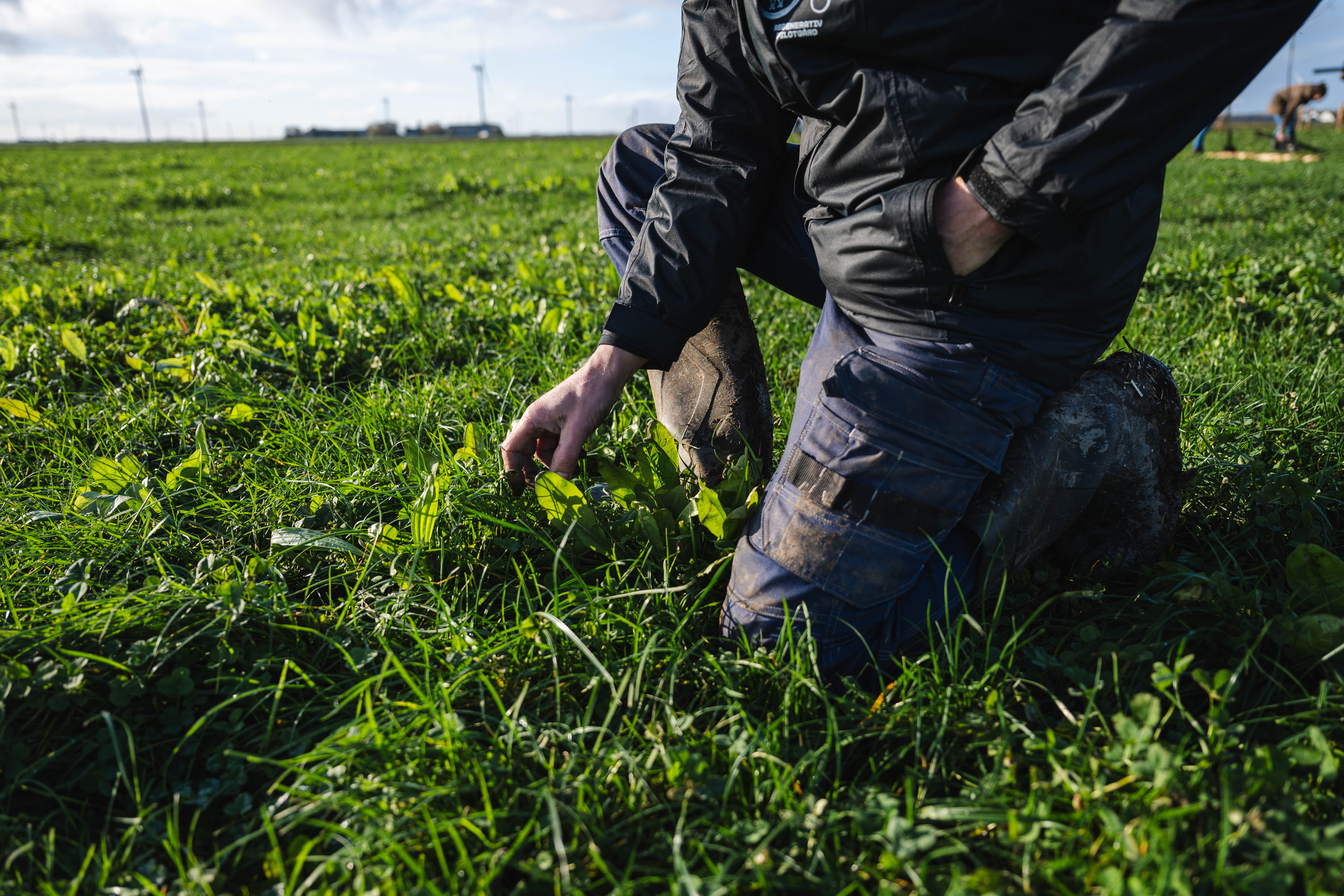 Boer geknield in het weiland om te planten