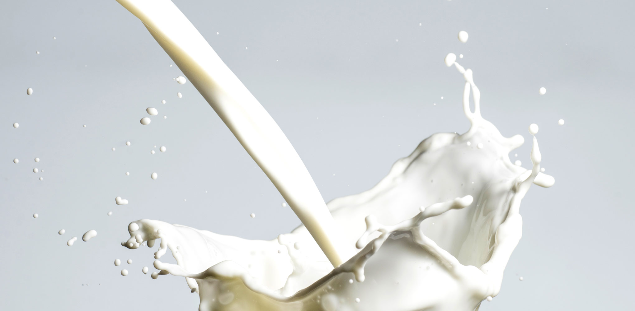 Is lactosevrije melk zuivelvrij?