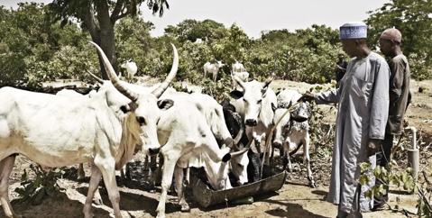 Ondersteuning van boeren in Nigeria